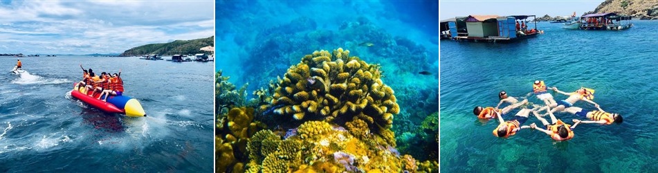 lặn ngắm san hô hòn khô - phú yên tourist